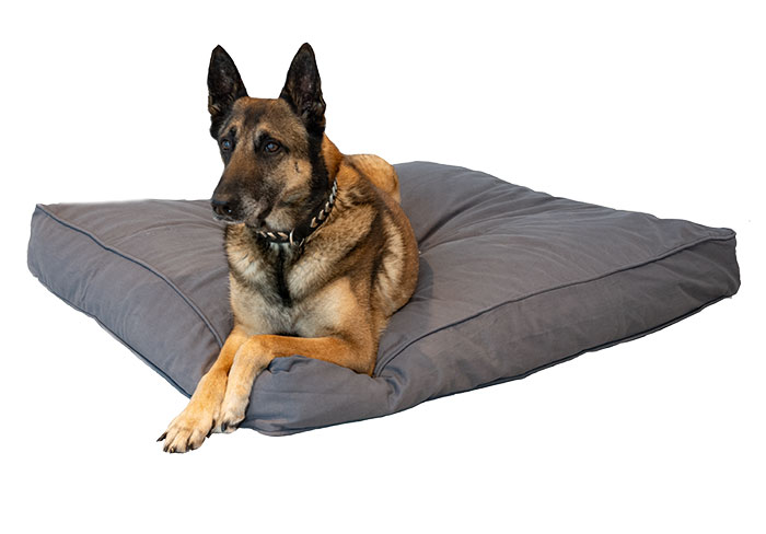 Wholesale Dog Beds | DogDoov gallery image 3